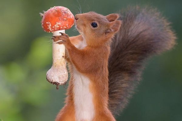 Russian Live Webinar 002-previous-image