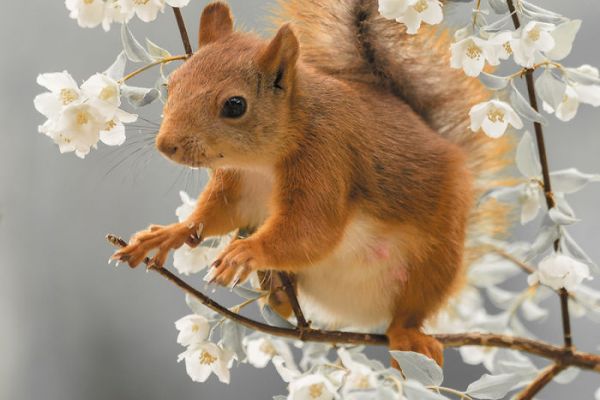 Russian Live Webinar 001-previous-image